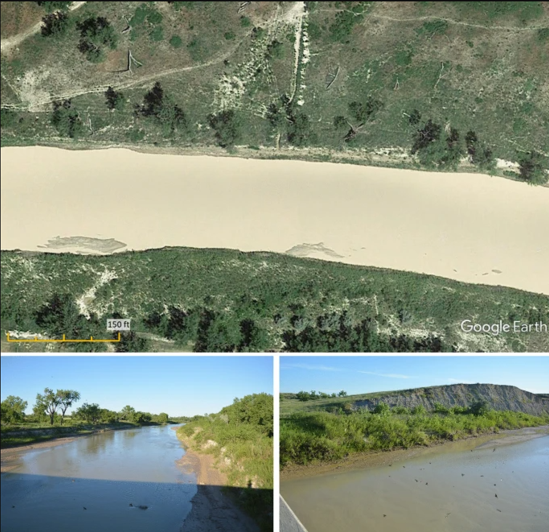 The influence of riparian woody vegetation on bankfull alluvial river morphodynamics