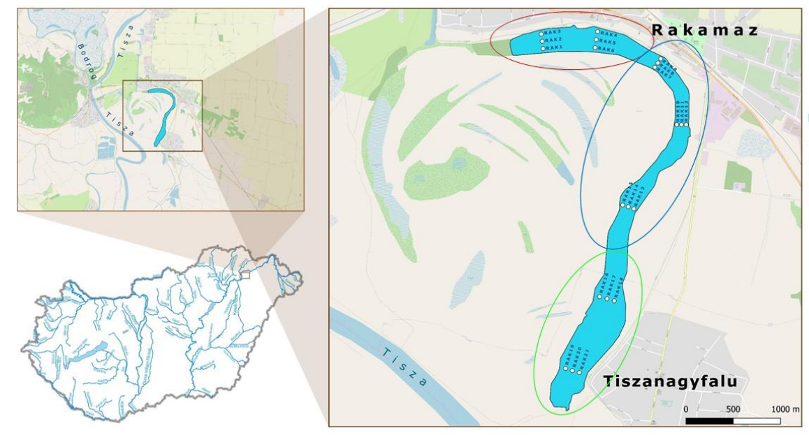 Density and Diversity Differences of Contemporary andSubfossil Cladocera Assemblages: A Case Study in anOxbow Lake